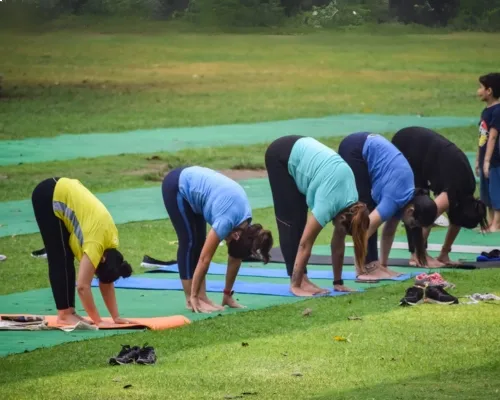 Yoga for Everyone